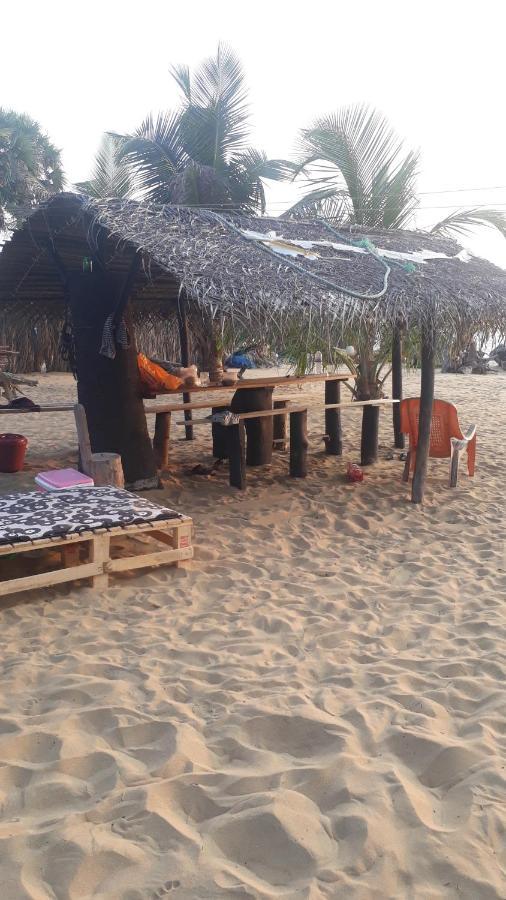 Dolphinchilling Hotel Alankuda Exterior photo